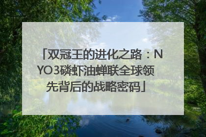 双冠王的进化之路：NYO3磷虾油蝉联全球领先背后的战略密码