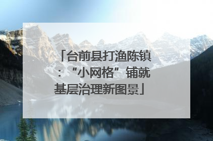 台前县打渔陈镇：“小网格”铺就基层治理新图景