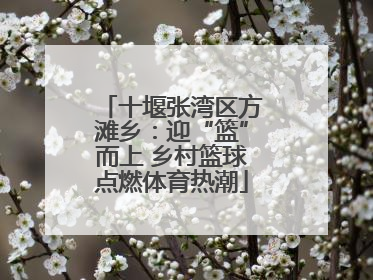 十堰张湾区方滩乡：迎“篮”而上 乡村篮球点燃体育热潮