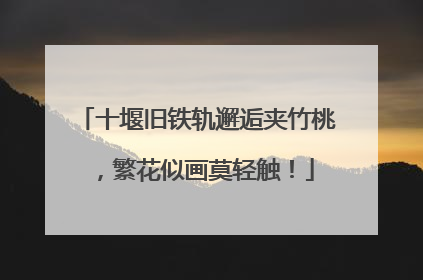 十堰旧铁轨邂逅夹竹桃，繁花似画莫轻触！