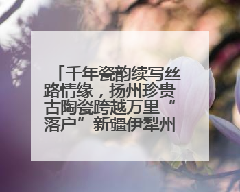 千年瓷韵续写丝路情缘，扬州珍贵古陶瓷跨越万里“落户”新疆伊犁州博物馆