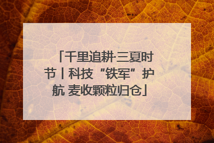 千里追耕·三夏时节丨科技“铁军”护航 麦收颗粒归仓