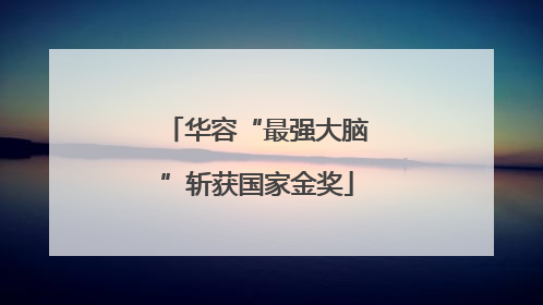 华容“最强大脑”斩获国家金奖