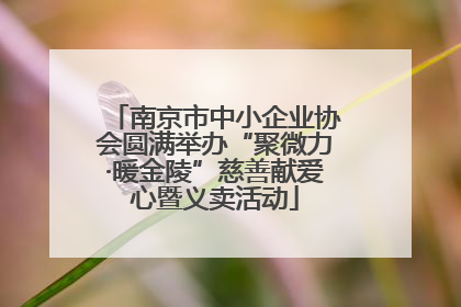 南京市中小企业协会圆满举办“聚微力·暖金陵”慈善献爱心暨义卖活动