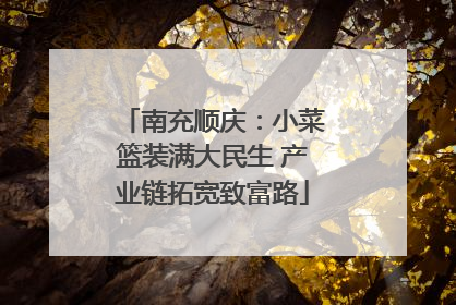 南充顺庆：小菜篮装满大民生 产业链拓宽致富路