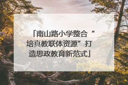 南山路小学整合“培真教联体资源”打造思政教育新范式