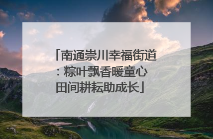 南通崇川幸福街道：粽叶飘香暖童心 田间耕耘助成长