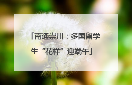 南通崇川：多国留学生“花样”迎端午