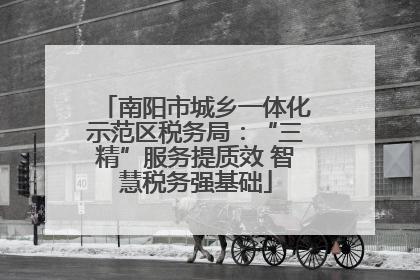 南阳市城乡一体化示范区税务局：“三精”服务提质效 智慧税务强基础