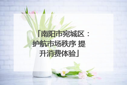 南阳市宛城区：护航市场秩序 提升消费体验