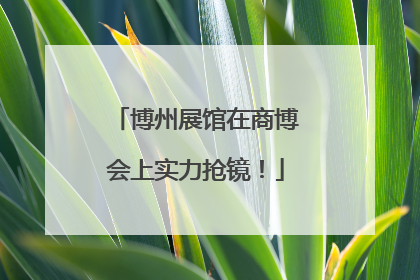 博州展馆在商博会上实力抢镜！