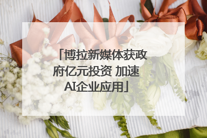 博拉新媒体获政府亿元投资 加速AI企业应用