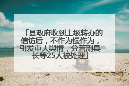 县政府收到上级转办的信访后，不作为慢作为，引发重大舆情，分管副县长等25人被处理