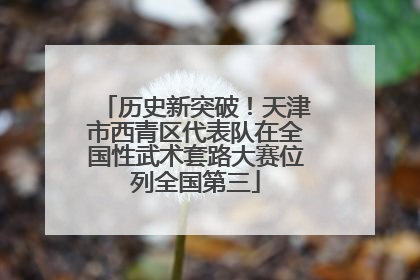 历史新突破！天津市西青区代表队在全国性武术套路大赛位列全国第三