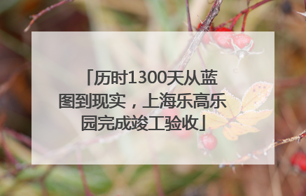历时1300天从蓝图到现实，上海乐高乐园完成竣工验收