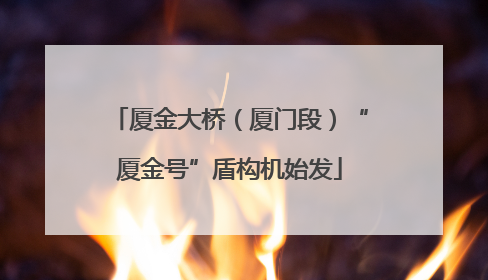 厦金大桥（厦门段）“厦金号”盾构机始发