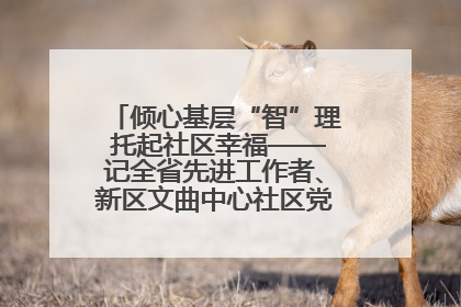 倾心基层“智”理 托起社区幸福——记全省先进工作者、新区文曲中心社区党委书记董世弘