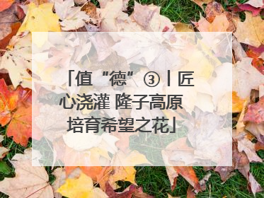 值“德”③丨匠心浇灌 隆子高原培育希望之花