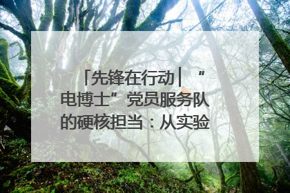 先锋在行动 ▏“电博士”党员服务队的硬核担当：从实验室到抗洪一线