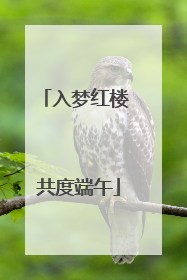 入梦红楼 共度端午