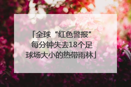 全球“红色警报”  每分钟失去18个足球场大小的热带雨林