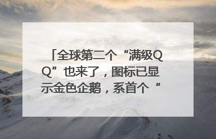 全球第二个“满级QQ”也来了，图标已显示金色企鹅，系首个“满级QQ”的小号
