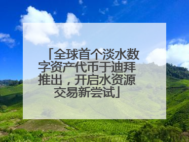 全球首个淡水数字资产代币于迪拜推出，开启水资源交易新尝试
