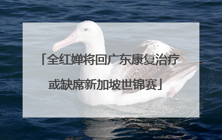 全红婵将回广东康复治疗 或缺席新加坡世锦赛