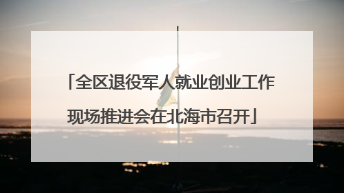 全区退役军人就业创业工作现场推进会在北海市召开