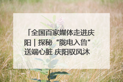 全国百家媒体走进庆阳｜探秘“陇电入鲁”送端心脏 庆阳驭风沐光点亮齐鲁万家
