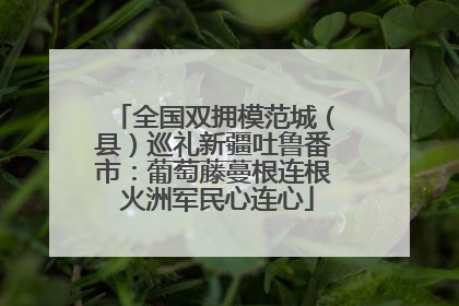全国双拥模范城（县）巡礼新疆吐鲁番市：葡萄藤蔓根连根 火洲军民心连心
