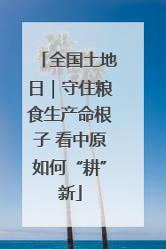 全国土地日｜守住粮食生产命根子 看中原如何“耕”新
