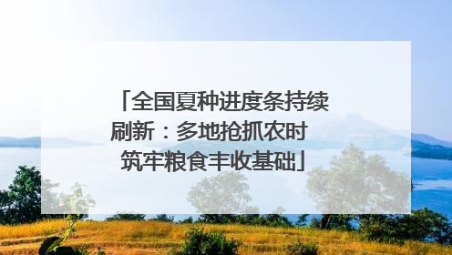 全国夏种进度条持续刷新：多地抢抓农时 筑牢粮食丰收基础