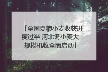 全国夏粮小麦收获进度过半 河北冬小麦大规模机收全面启动