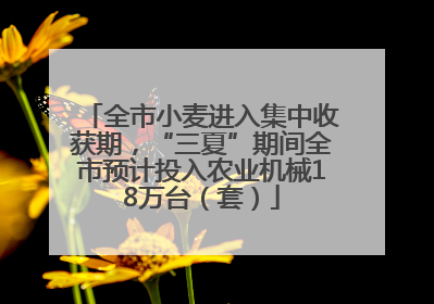 全市小麦进入集中收获期，“三夏”期间全市预计投入农业机械18万台（套）