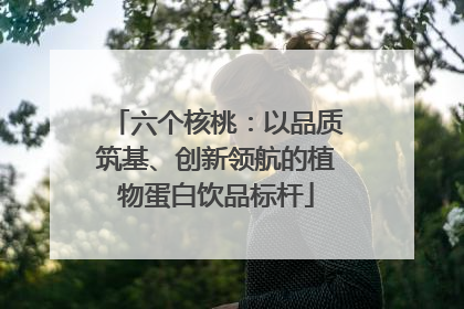 六个核桃：以品质筑基、创新领航的植物蛋白饮品标杆