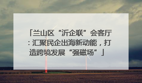 兰山区“沂企联”会客厅：汇聚民企出海新动能，打造跨境发展“强磁场”