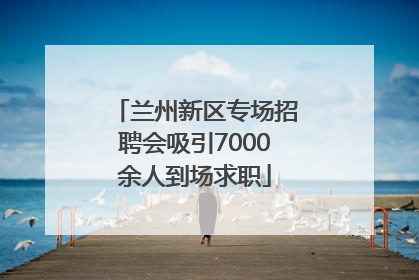 兰州新区专场招聘会吸引7000余人到场求职