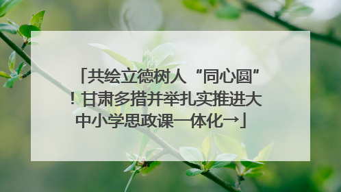 共绘立德树人“同心圆”！甘肃多措并举扎实推进大中小学思政课一体化→