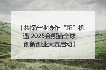 共探产业协作“新”机遇 2025金熊猫全球创新创业大赛启动