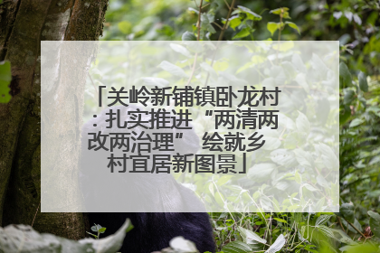 关岭新铺镇卧龙村：扎实推进“两清两改两治理” 绘就乡村宜居新图景