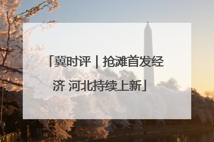 冀时评｜抢滩首发经济 河北持续上新