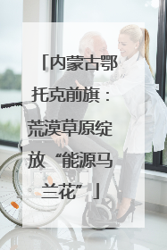 内蒙古鄂托克前旗：荒漠草原绽放“能源马兰花”