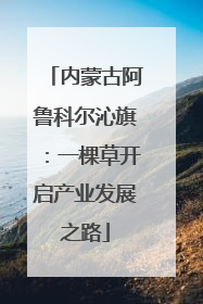内蒙古阿鲁科尔沁旗：一棵草开启产业发展之路