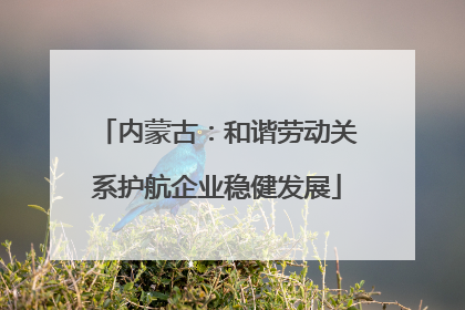 内蒙古：和谐劳动关系护航企业稳健发展