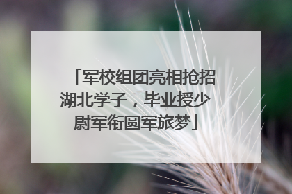 军校组团亮相抢招湖北学子，毕业授少尉军衔圆军旅梦