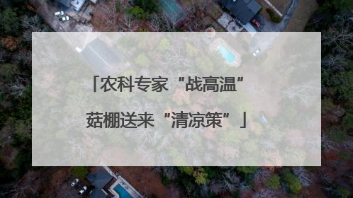 农科专家“战高温” 菇棚送来“清凉策”