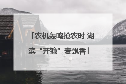 农机轰鸣抢农时 湖滨“开镰”麦飘香