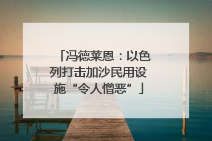 冯德莱恩：以色列打击加沙民用设施“令人憎恶”