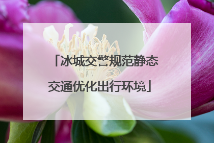 冰城交警规范静态交通优化出行环境